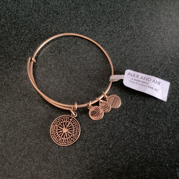 Alex and Ani Expandable Wire Bracelet True Direction New with tag - Picture 2 of 8